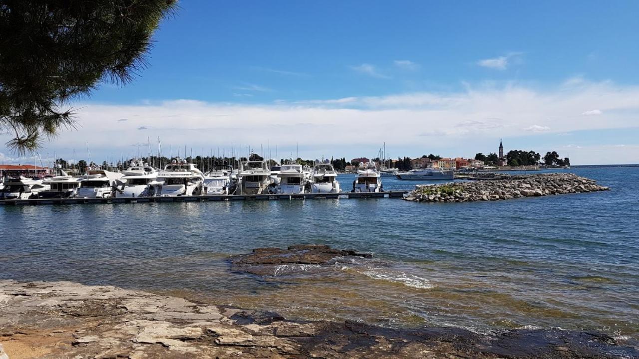 Apartments Mirella Novigrad Istria 外观 照片