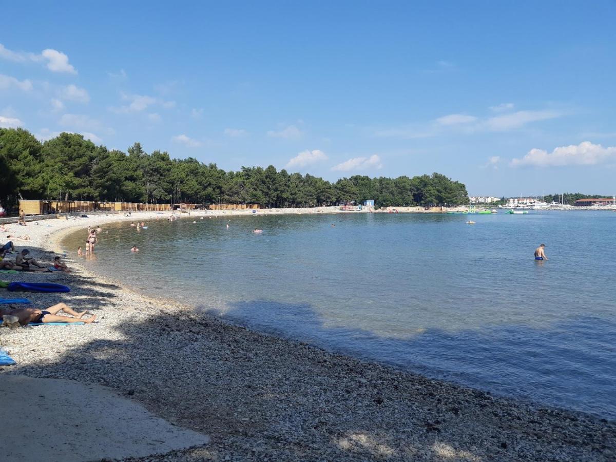 Apartments Mirella Novigrad Istria 外观 照片