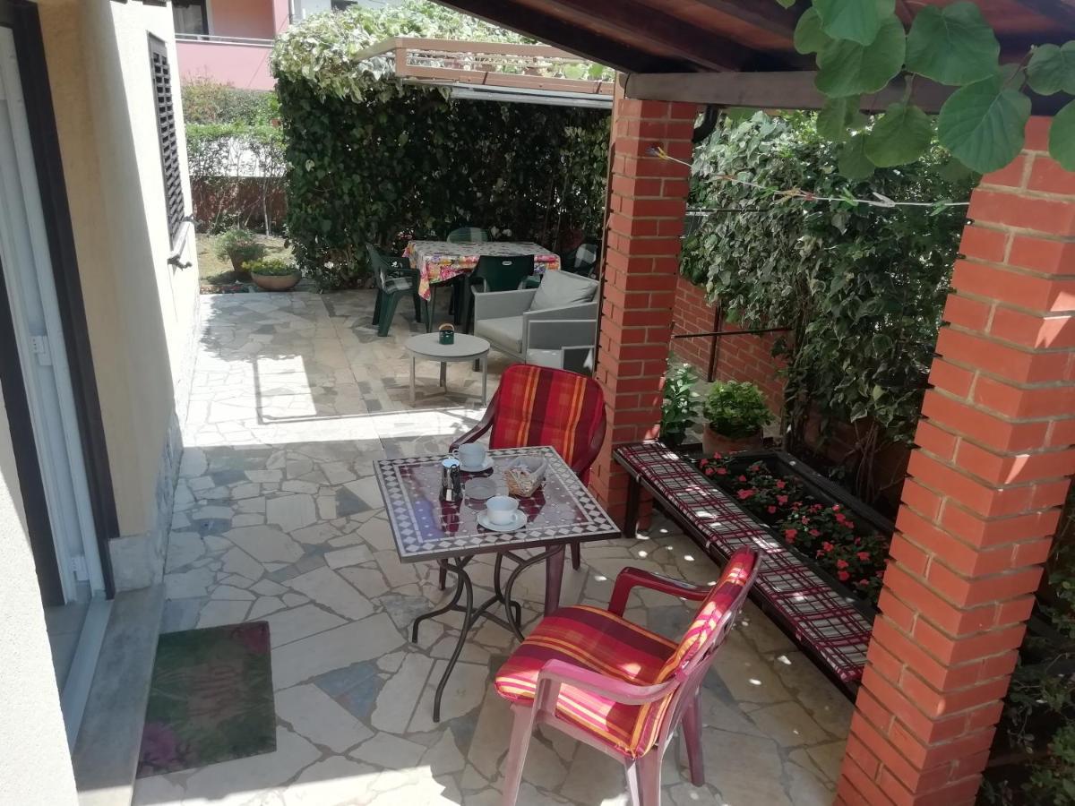 Apartments Mirella Novigrad Istria 外观 照片