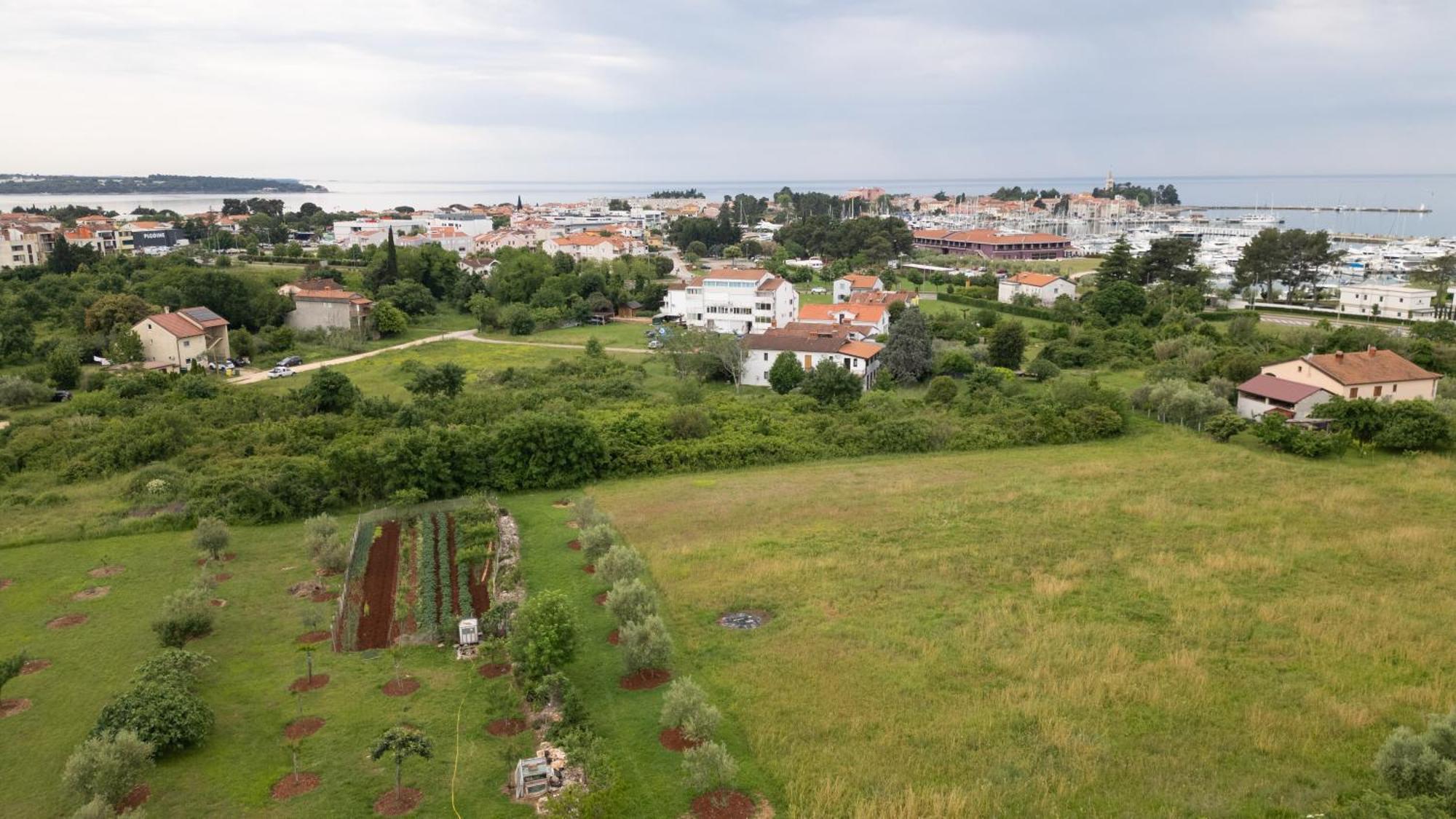 Apartments Mirella Novigrad Istria 外观 照片