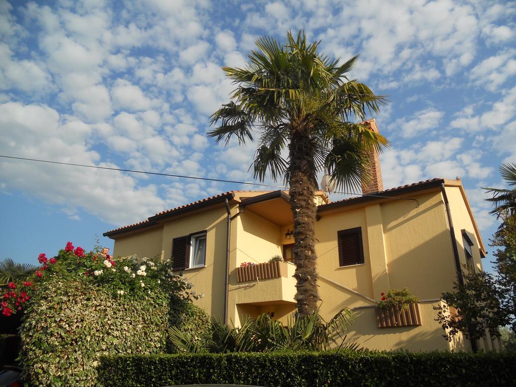 Apartments Mirella Novigrad Istria 外观 照片